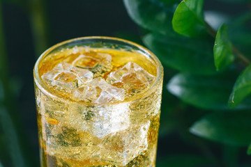 Close-up of a fresh yellow sparkling drink with ice in a highball glass against green nature backgrounds.