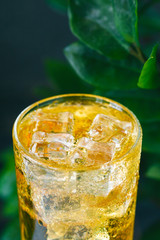 Close-up of a fresh yellow sparkling drink with ice against green nature backgrounds.