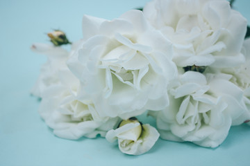 Obraz na płótnie Canvas Bouquet of white roses on a blue background