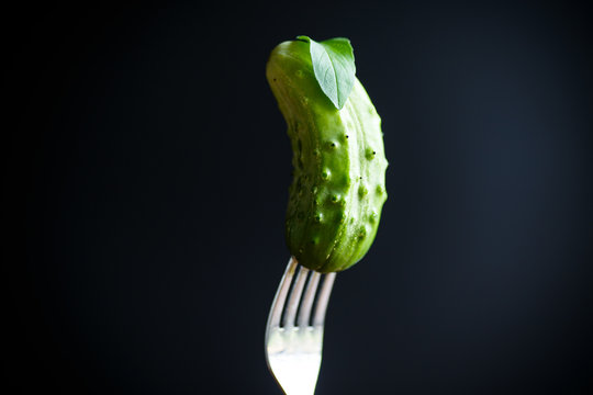 fresh green cucumber