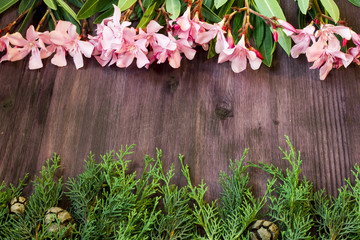 flowers and cypresss