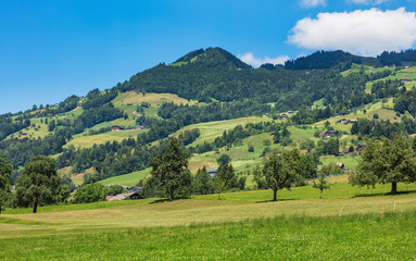 Fototapeta na wymiar A summertime view in the region of the town of Schwyz in Switzerland