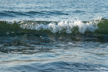 Obraz premium Little wave in the sea