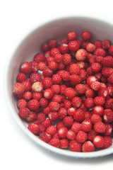 Fresh wild straberries in a bowl on white background. Summer fruits
