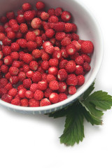 Fresh wild straberries in a bowl on white background. Summer fruits