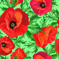 Red poppies, green leaves
