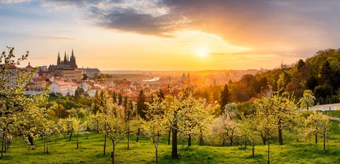 Abwaschbare Fototapete Prag Eine schöne Frühlingsansicht von Prag bei Sonnenaufgang vom Petrin-Hügel. Prager Burg und St.-Veits-Dom auf der linken Seite und eine goldene aufgehende Sonne im Hintergrund.