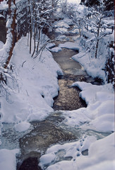 Kraft sch&ouml;pfen...