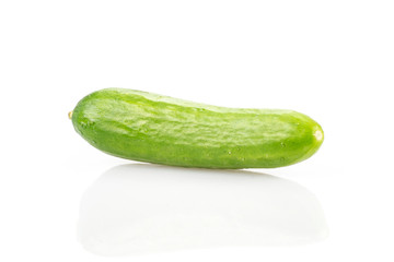 One fresh green mini cucumber isolated on white background.