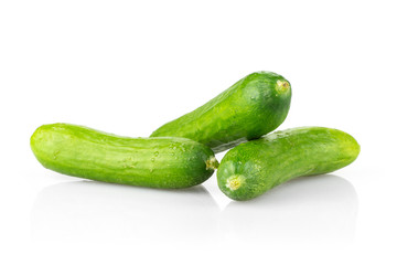 Three fresh green mini cucumbers isolated on white background.