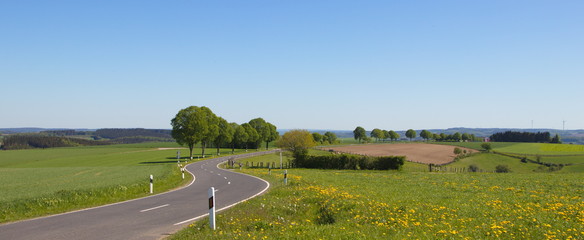 De ardennen op zijn mooist met een kronkelende weg en groene heuvels