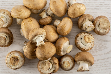 Fresh raw brown champignons flatlay on grey wood background.
