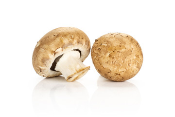 Two fresh brown champignons isolated on white background.