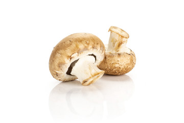 Pair of fresh brown champignons isolated on white background two raw mushrooms.