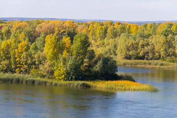 Fototapeta na wymiar Colorful autumn trees on the riverfront.