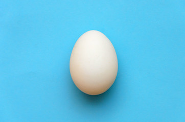 One chicken white egg