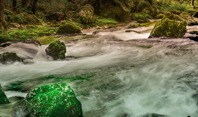 torrent du jura et rocher avec sa mousse