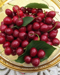 Sweet cherries which are taken from tree in the garden in the south of Sweden