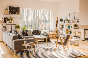 Grey bright living room interior