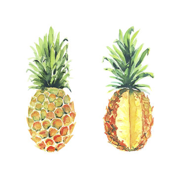 Pineapple watercolor illustrations clipart 