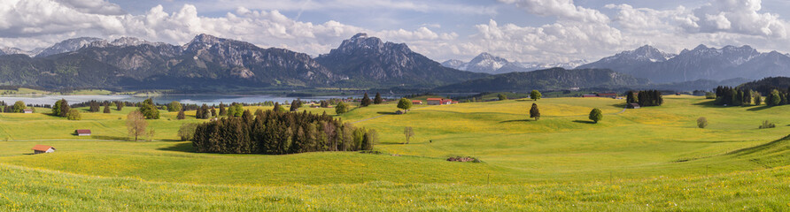 Panorama Landschaft im Allgäu in Bayern am Forggensee