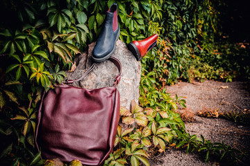 red and blue shoes, women's handbag on ivy background