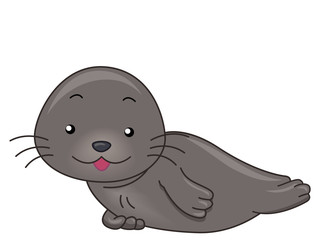 Seal Sitting Illustration