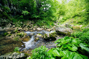 Canyon Nevidio in Montenegro