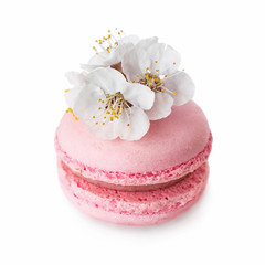 Pink macaroon with a white flowers isolated on a white background. French dessert and flowers blooming cherry. Sakura flowers with pink macaron