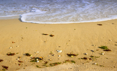 beautiful yellow sandy beach near the blue sea