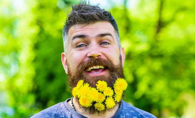 Barber concept. Hipster with bouquet of dandelions in beard. Bearded man with dandelion flowers in beard, close up. Man with beard and mustache on happy face, green background, defocused.