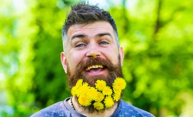 Photo sur Plexiglas Dent de lion Barber concept. Hipster with bouquet of dandelions in beard. Bearded man with dandelion flowers in beard, close up. Man with beard and mustache on happy face, green background, defocused.