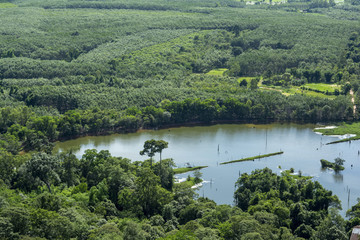 Obraz premium The beauty of the forest in Thailand (Top View) /Freshwater pond in green forest Gorgeous, traveler's paradise