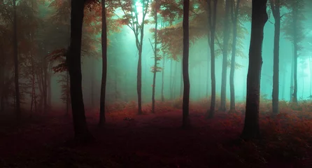 Deurstickers Panorama van mistig bos. Sprookje spookachtig uitziende bossen in een mistige dag. Koude mistige ochtend in horrorbos © bonciutoma