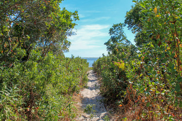 A sandy trail that leads to the bay at the end of Great Bay Blvd in New Jersey