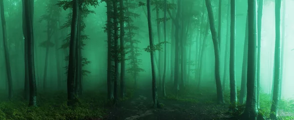 Zelfklevend Fotobehang Panorama van mistig bos. Sprookje spookachtig uitziende bossen in een mistige dag. Koude mistige ochtend in horrorbos © bonciutoma