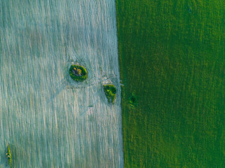 beautiful geometry of fields green and brown photo from height