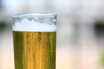 Glasses of beer on white background