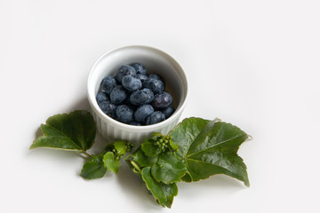 ブルーベリーとツタの葉