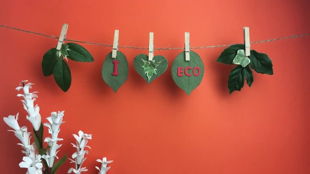 Frase &ldquo;I love eco&rdquo; en una cuerda con hojas.