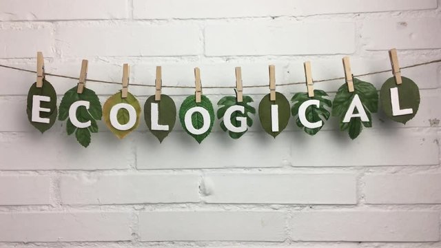 Palabra &ldquo;ecological&rdquo; en una cuerda con hojas sujeta con pinzas.
