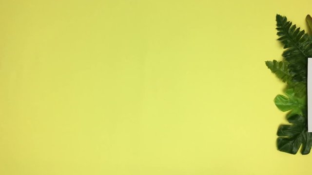Sobre fondo amarillo aparece un cuadro blanco rodeado de plantas.