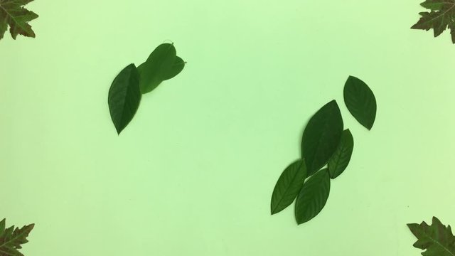 Numero cincuenta hecho de hojas, se borra con el viento.