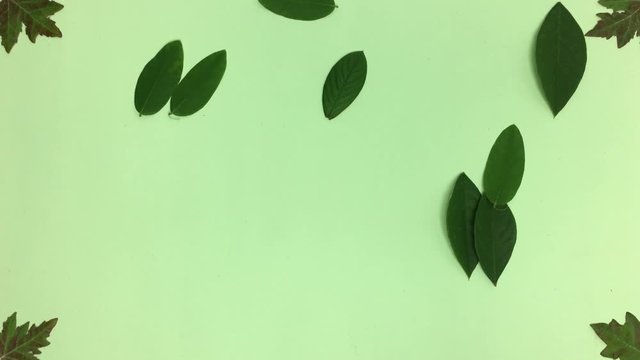 Numero 40 hecho de hojas, se borra con el viento.