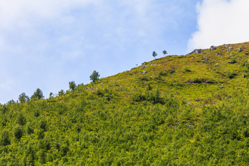 Obraz premium Summer mountains landscape in Norway.