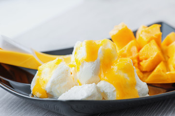 white ice cream with a sauce of ripe mango fruit