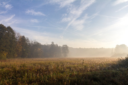 Fototapeta Leśna łąka i piękne niebo