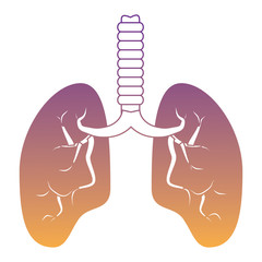 human lungs icon over white background, vector illustration