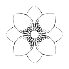 delicate decorative natural ornate flower vector illustration sketch