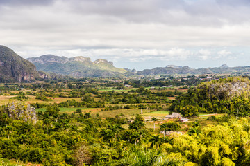 A typical view in Vinales Cuba